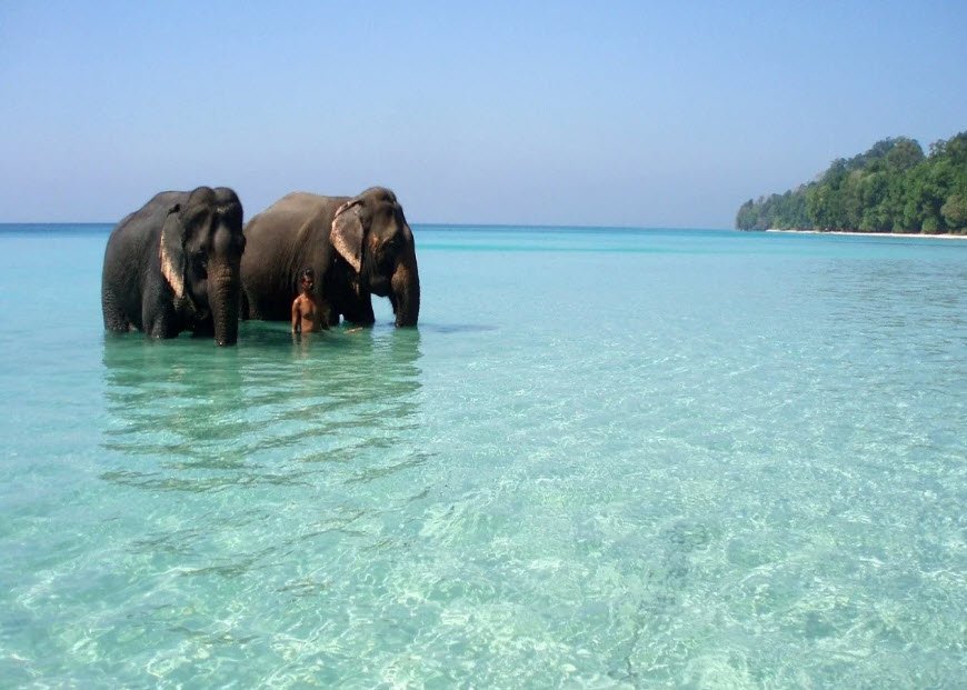 Elephant Beach, South Andaman, Andaman and Nicobar Islands - Vushii.com